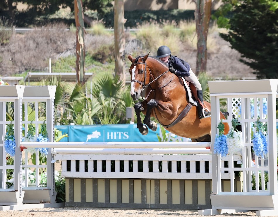 Eva Lipman and Mercator E' Champion, Large Junior Hunter 3'3" 2025 HITS Del Mar Summer Festival 2 Photo by High Desert