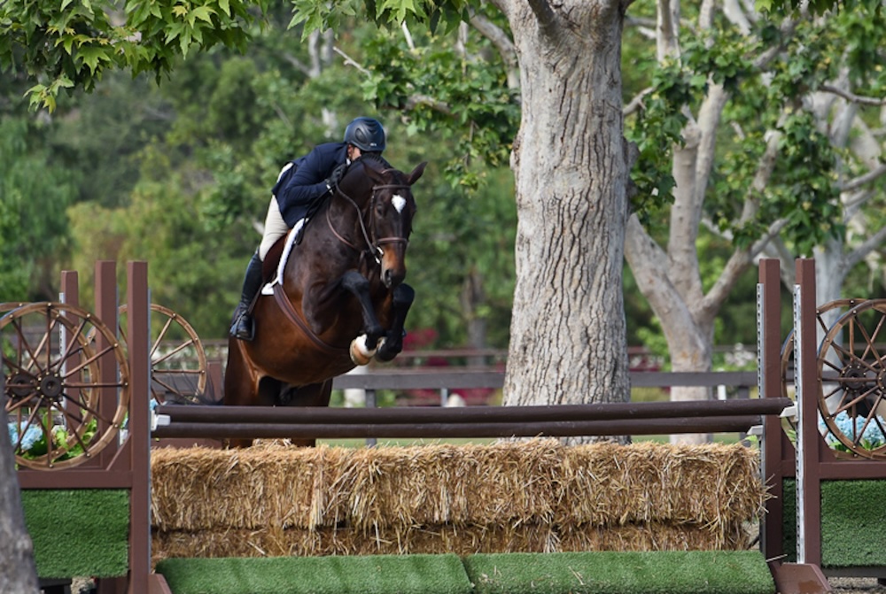 Nick Haness & Ecole Lathrop's Starburst Temecula National Valley Photo by CMP