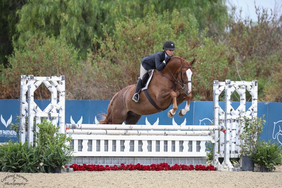 Mary Easley and Union Champion USHJA National Jr/Am Hunter Derby Champion Adult Amateur Hunter 18-35 3' both weeks Classic Winner Adult Amateur Hunter 18-35 3' both weeks The Oaks Summer 2025 Photo by Captured Moment