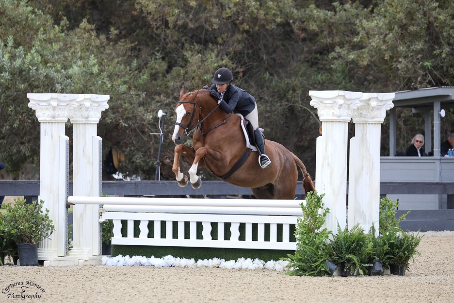 Mary Easley and Union Champion USHJA National Jr/Am Hunter Derby Champion Adult Amateur Hunter 18-35 3' both weeks Classic Winner Adult Amateur Hunter 18-35 3' both weeks The Oaks Summer 2025 Photo by Captured Moment