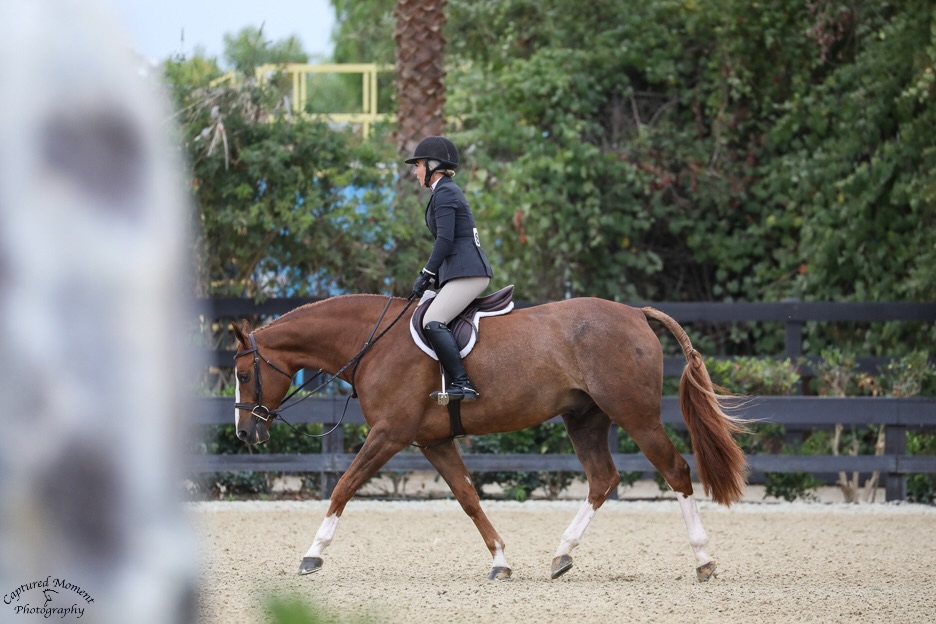 Mary Easley and Union Champion USHJA National Jr/Am Hunter Derby Champion Adult Amateur Hunter 18-35 3' both weeks Classic Winner Adult Amateur Hunter 18-35 3' both weeks The Oaks Summer 2025 Photo by Captured Moment