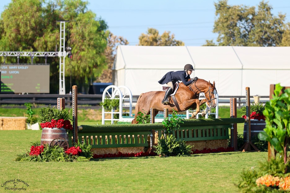 Mary Easley and Union Champion USHJA National Jr/Am Hunter Derby Champion Adult Amateur Hunter 18-35 3' both weeks Classic Winner Adult Amateur Hunter 18-35 3' both weeks The Oaks Summer 2025 Photo by Captured Moment