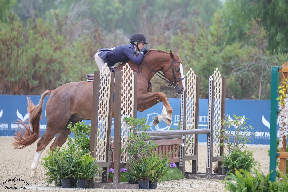Mary Easley and Union Champion USHJA National Jr/Am Hunter Derby Champion Adult Amateur Hunter 18-35 3' both weeks Classic Winner Adult Amateur Hunter 18-35 3' both weeks The Oaks Summer 2025 Photo by Captured Moment