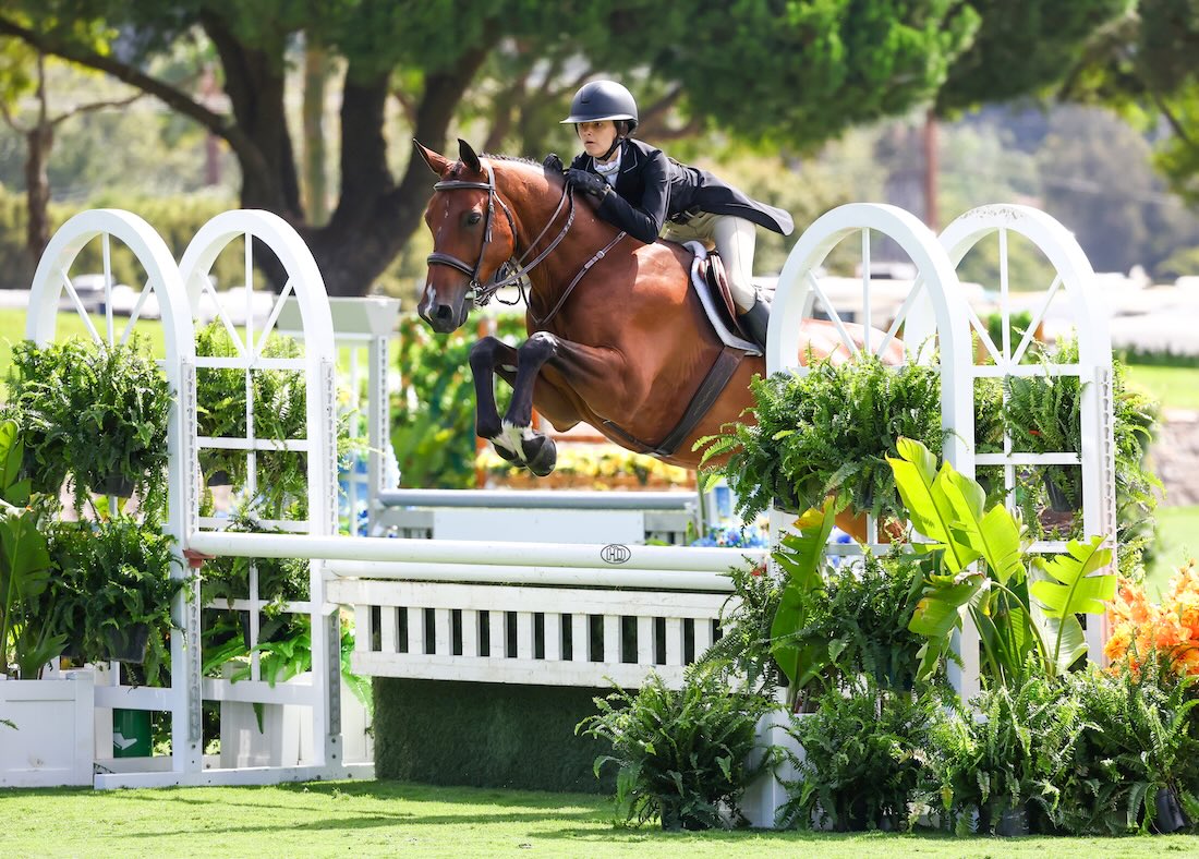Vivienne Mattson and Stryker Z 7th: Large 3’3” Junior 15 & UOverall 8th: Large 3’3” Junior Hunter 15 & U Classic 9th: Large 3’3” Junior 15 & U Handy Hunter 2025 Adequan/USEF Junior Hunter National Championship - West Del Mar, California Photo by High Desert