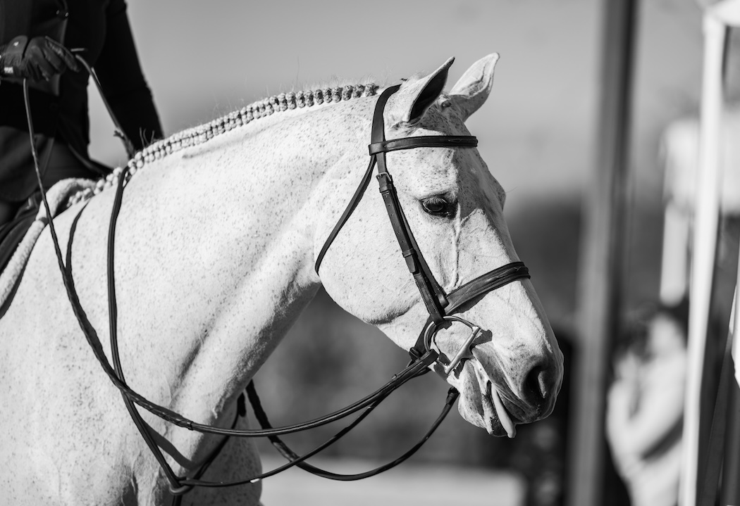 Violet Tatum and Evermore