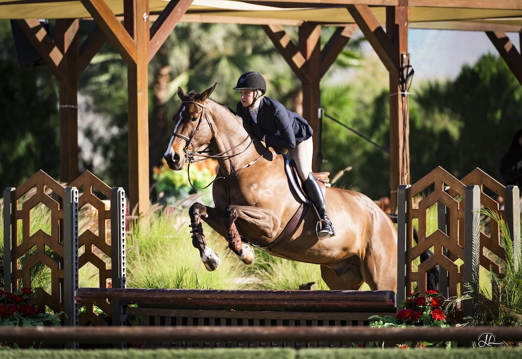 Jamie Krupnick and Troubadour Adult Equitation Over Fences 2026 Desert Circuit Week 2 Photo by Lindsey Long Photography