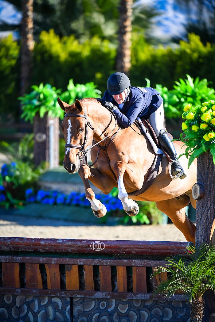 Virginia Fout and Watchman Amateur Owner Hunter 3'3" 36 & Over 2026 Desert Circuit Photo by High Desert Sport Photo