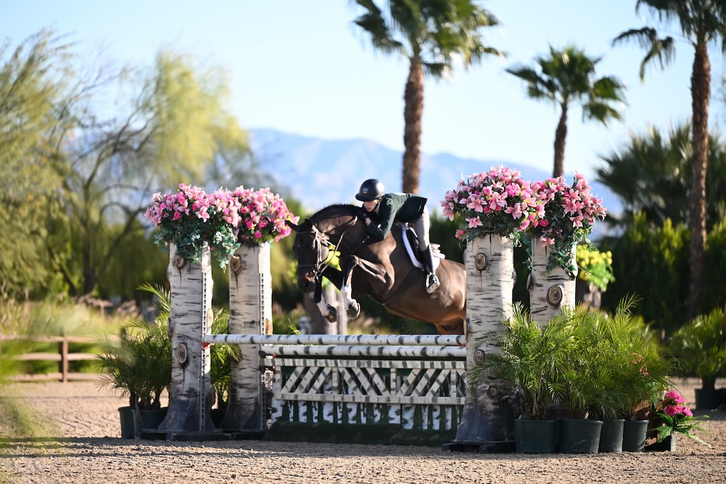 Sally Mulroney and Simply Irresistible Champion Junior Hunter 16-17 3'3" 2026 Desert Circuit Week 2