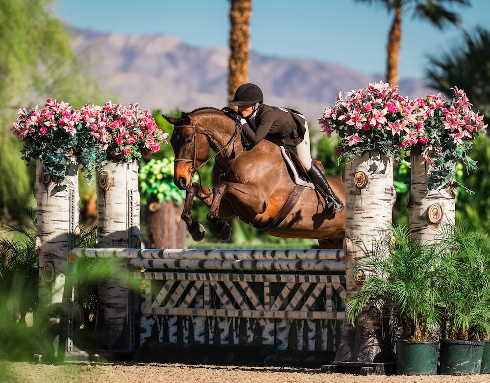 Violet Tatum and Braavos Champion Small Junior Hunter 2026 Desert Circuit Week 2