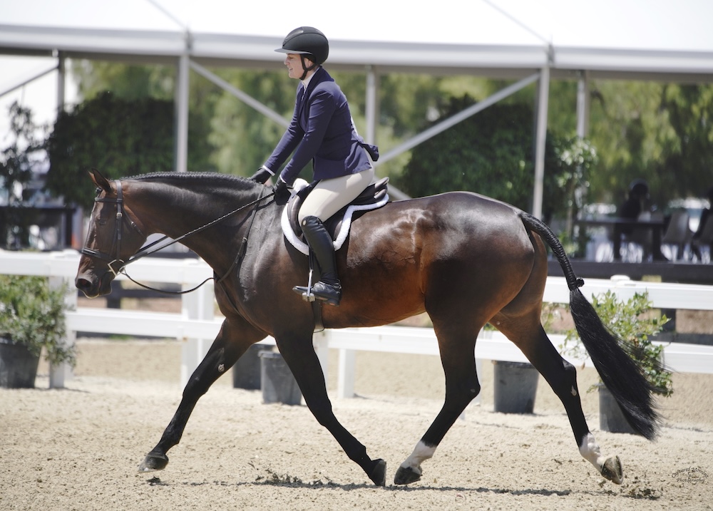 La Premiere and Jessica Singer Alexander Modified Adult Hunter 2025 Oaks Summer Tour Photo by Captured Moment