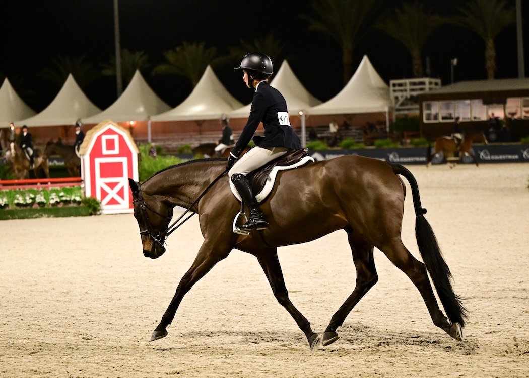 Sally Mulroney and Franklin $25,000 Undersaddle Championship 2026 Desert Circuit