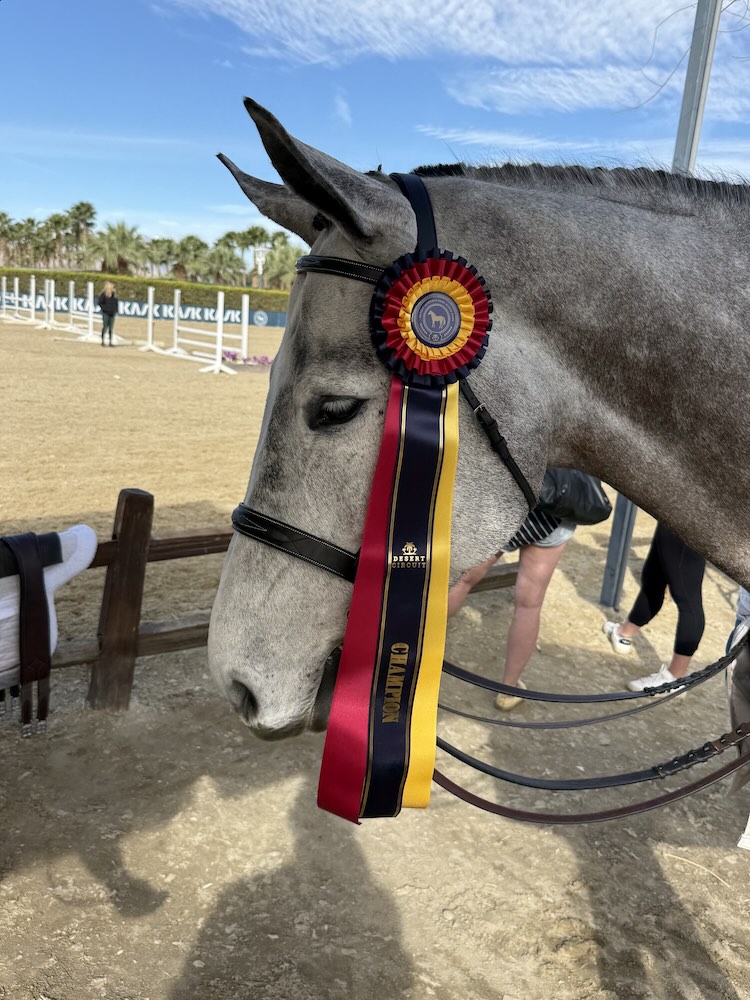 Dane Anson and Coastline Champion Equitation 14-15 2026 Desert Circuit