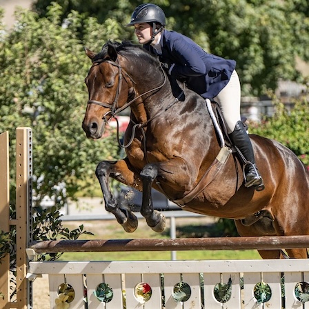 Los Angeles Equestrian Center