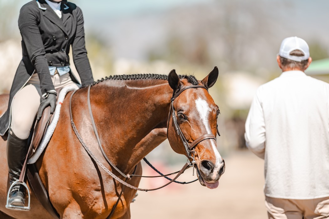 Geneva Saunders and Christopher Robin Antares Sellier Leading Pony Hunter Rider 2026 Desert Circuit