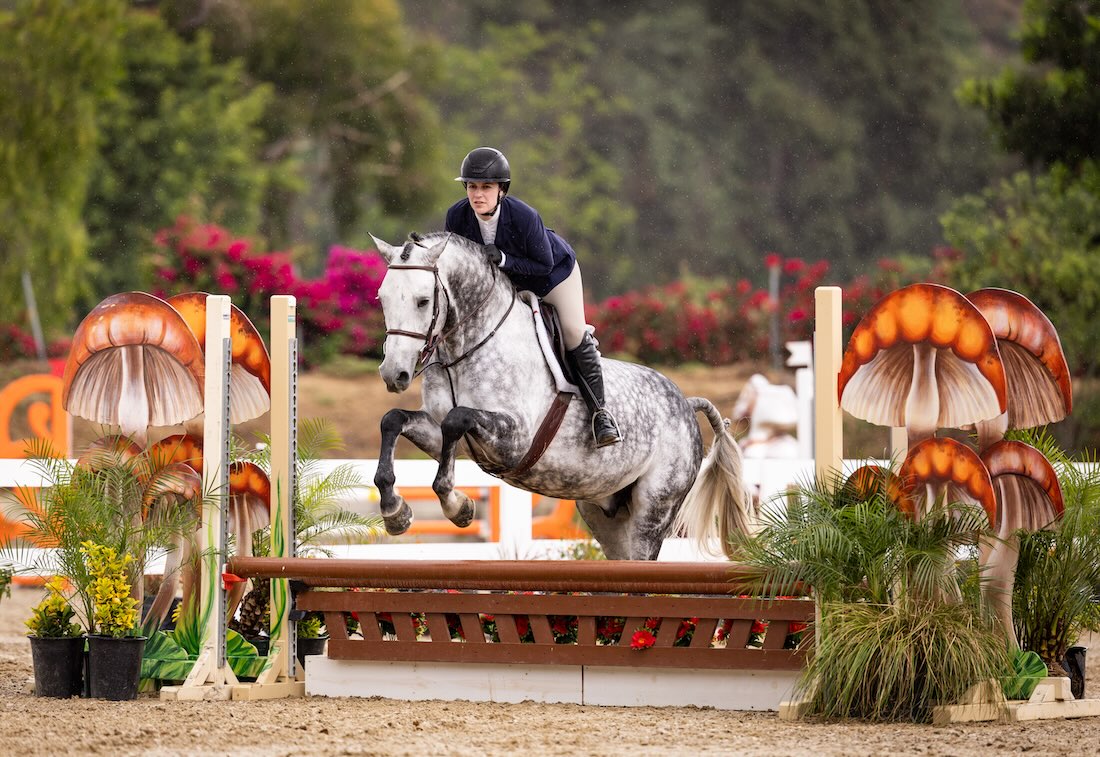 Jessica Singer Alexander and Ocean Eyes 2026 Pacific Ridge Show Jumping Los Angeles Equestrian Center