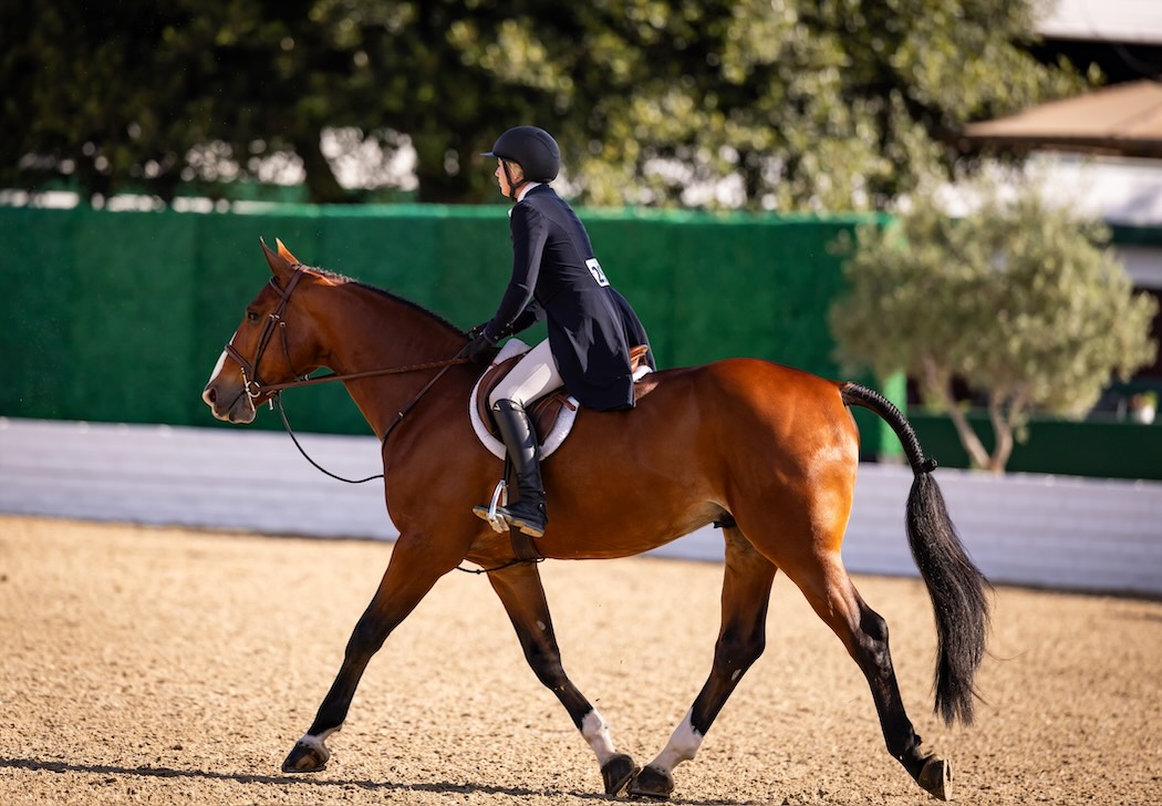 Karli Postel and Lauren Bendowski's Haletto 2026 Pacific Ridge Show Jumping Los Angeles Equestrian Center