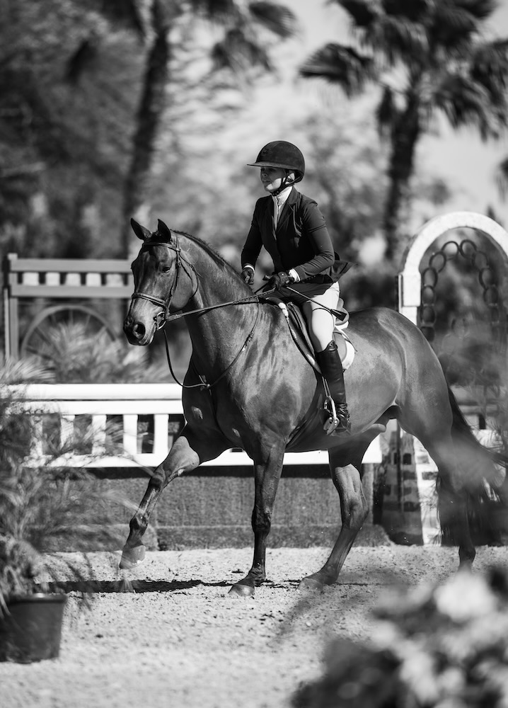 Violet Tatum and Braavos Small Junior Hunter 3'6" 2026 Desert Circuit