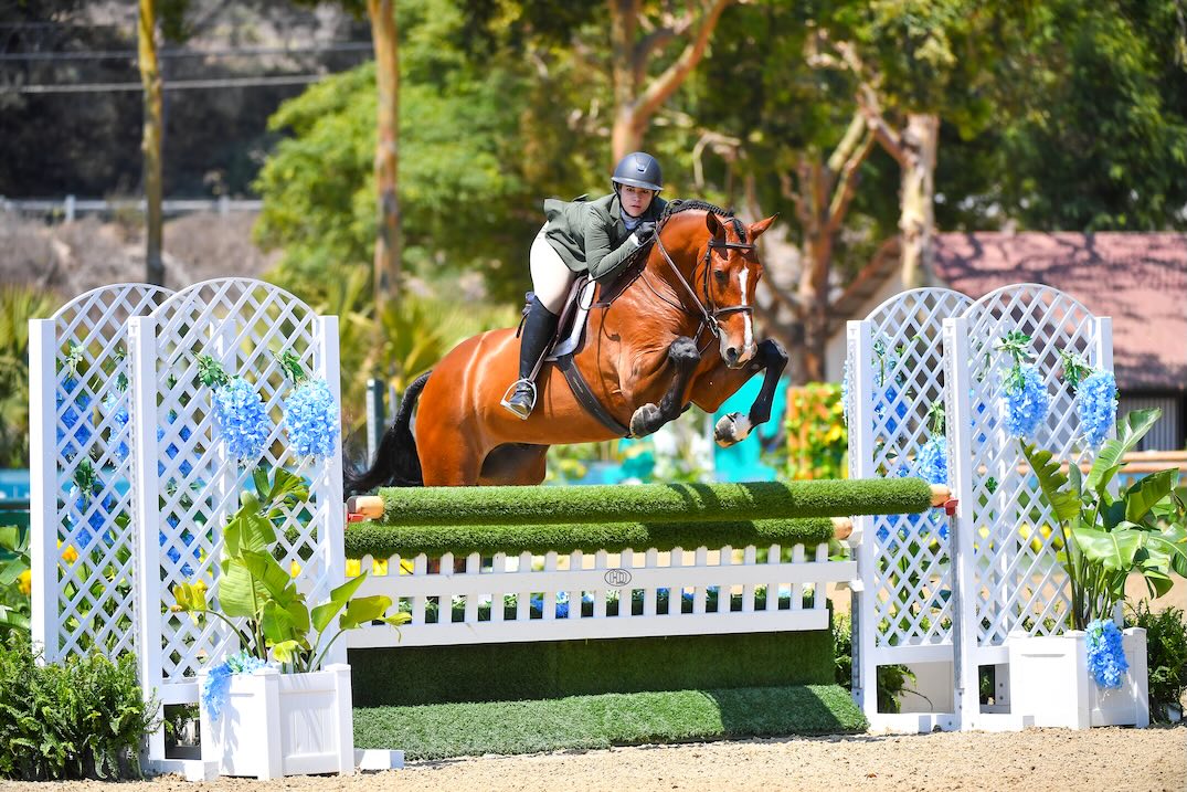 Belle Calkin and Ponte 3'6" AO Hunter 18-35 2026 HITS Del Mar Photo by High Desert Sport Photo