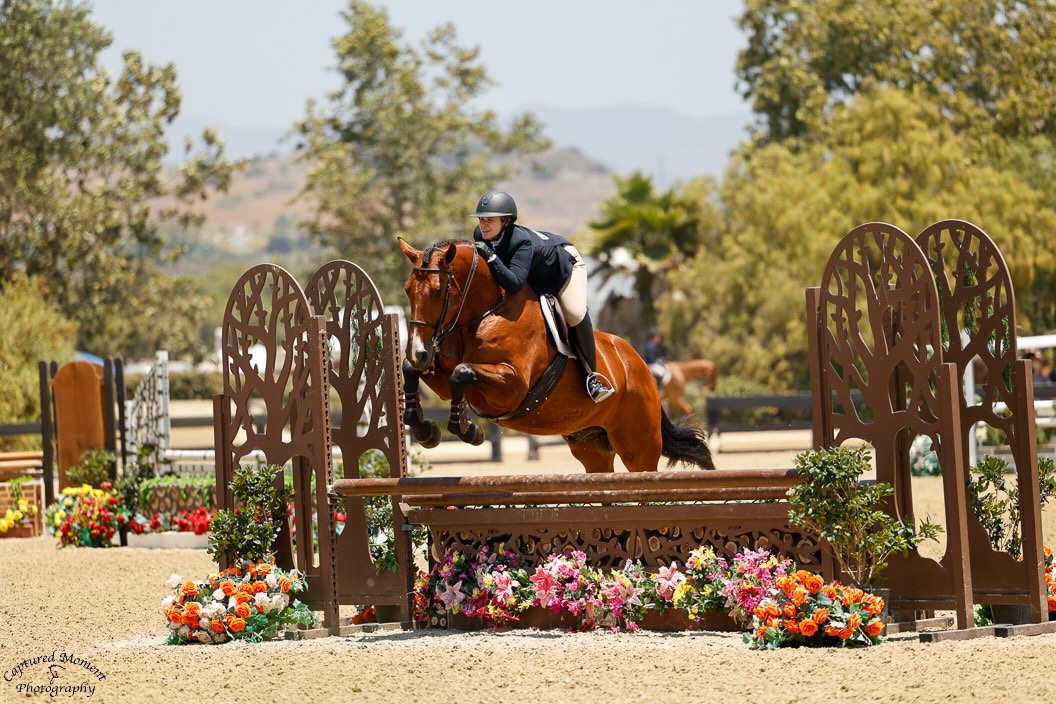 Belle Calkin and Bellefort Van Brugge Adult Equitation 2026 Oaks Summer Photo by Captured Moment
