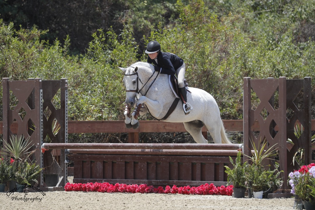 Harley Bartolacci Bjelkstam and Evermore Owned by Tatum Equestrian, LLC Modified 2'9" Hunter The Oaks 2026 Photo by Captured Moment