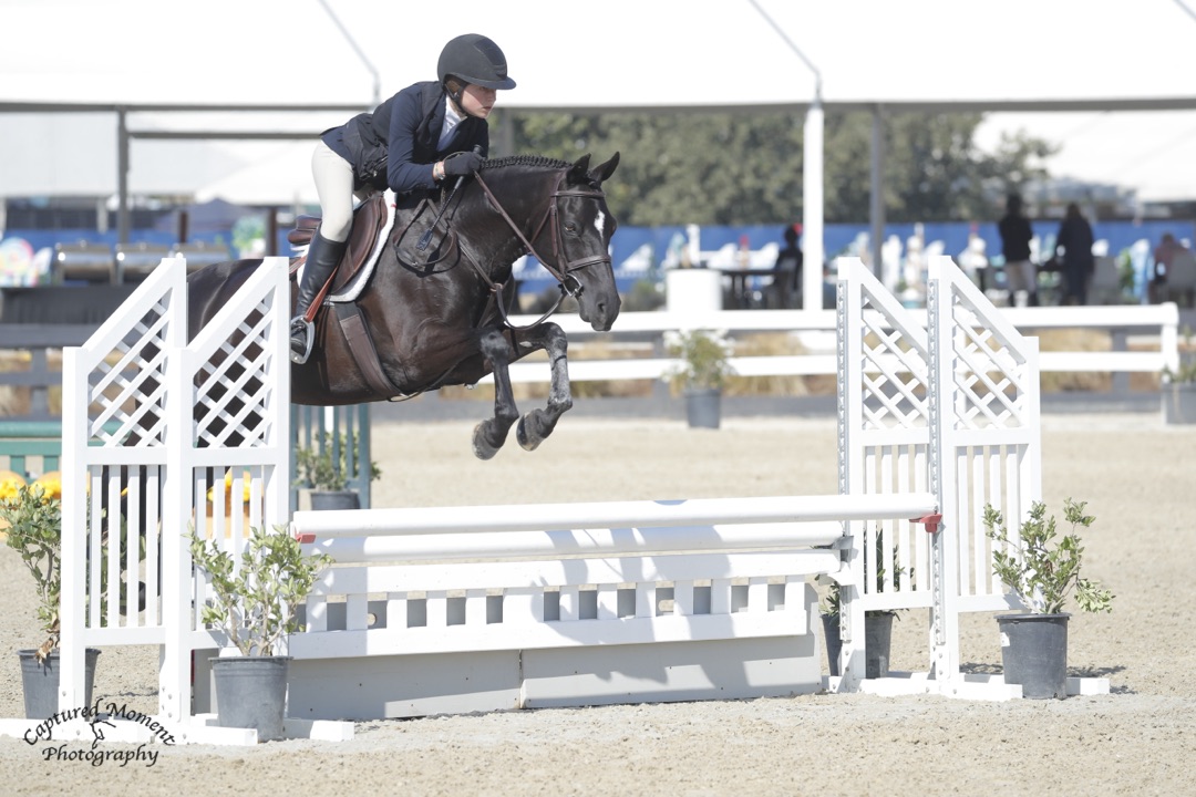 Harley Bartolacci Bjelkstam and Best Mate Large Pony Division The Oaks 2026 Photo by Captured Moment