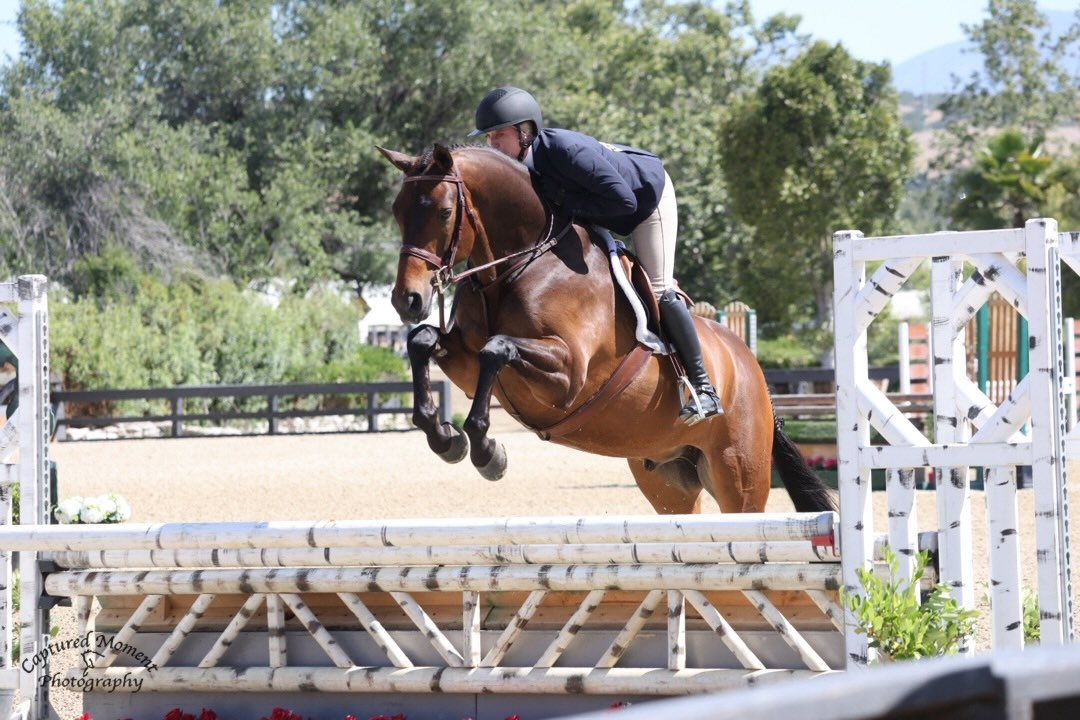 Karli Postel and Legacy Champion 3' Green Hunter 2026 Capistrano Cup 1 Photo by Captured Moment