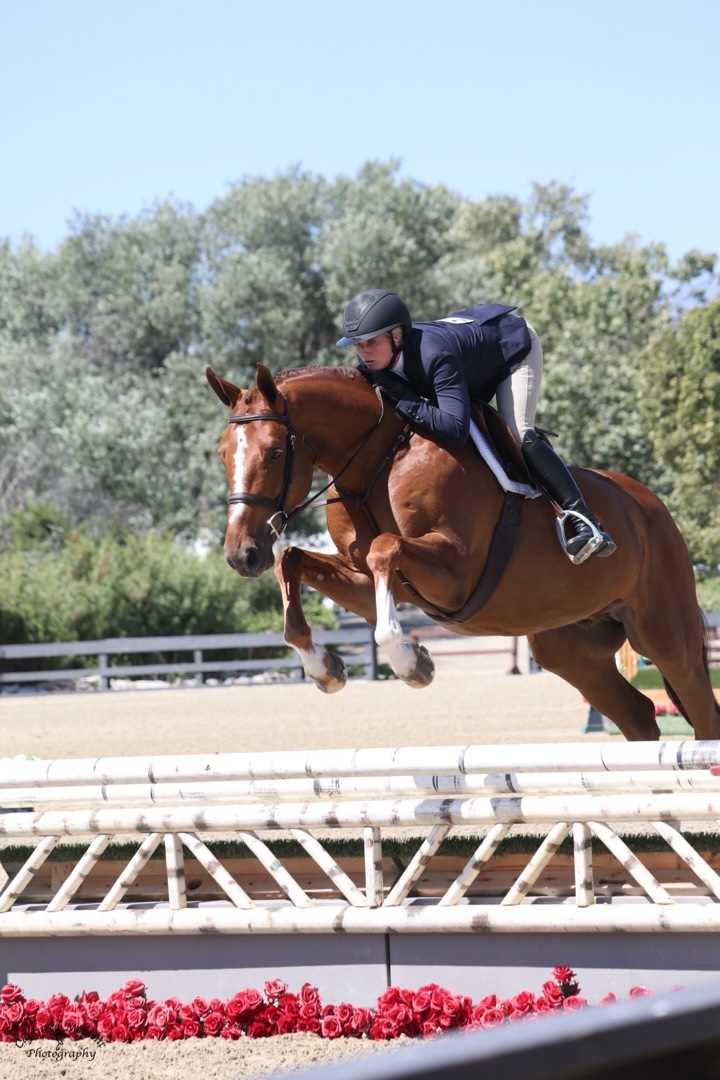 Karli Postel and Watchman Champion 3'3" Green Hunter 2026 Capistrano Cup 1 Photo by Captured Moment