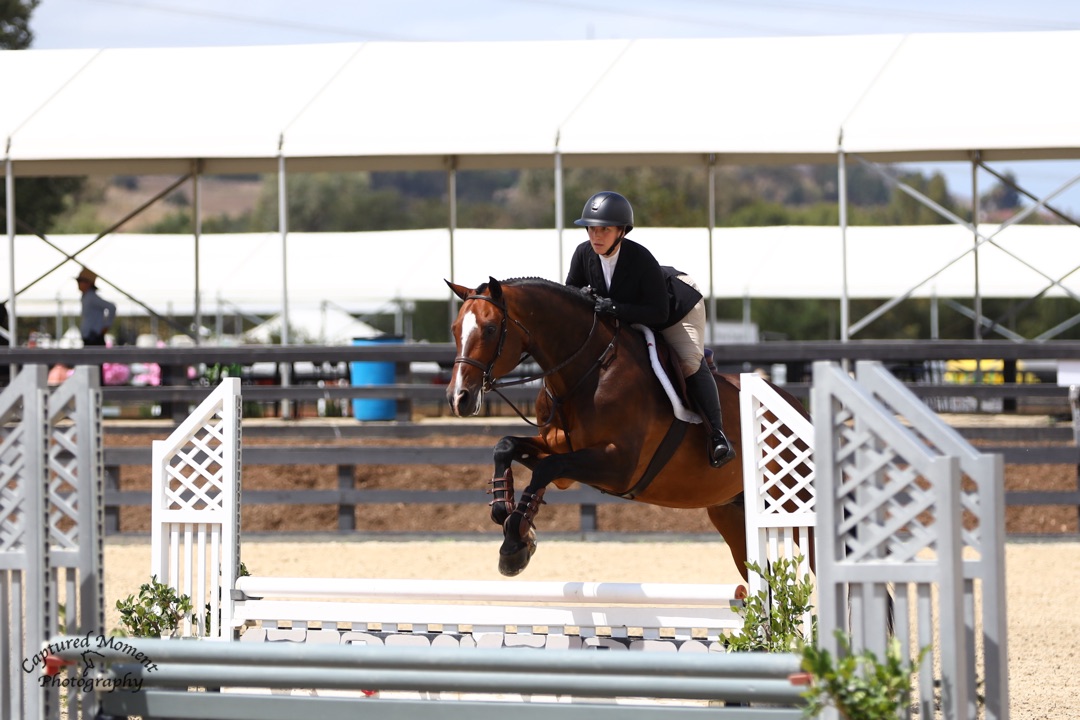 Sophie Cohen and Christopher Robin 1st, Low Child/Adult Equitation O/F 2026 Oaks Photo by Captured Moment