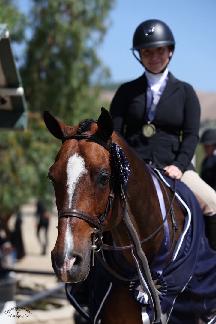 Sophie Cohen and Christopher Robin Winner, USHJA 2'6" Jr/Amateur Derby 2026 Oaks Summer Tour 1 Photo by Captured Moment