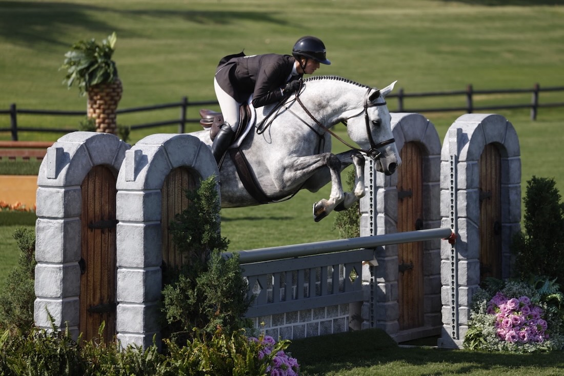 Catchy, owned by Glenda Monkarsh, and Tara Metzner Winner CPHA and USHJA 3'6" Green Incentives 2026 Oaks Photo by Captured Moment