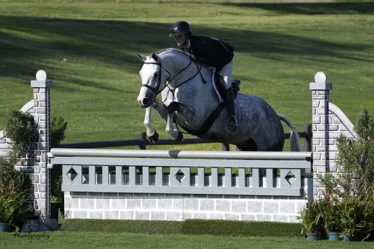 Catchy, owned by Glenda Monkarsh, and Tara Metzner Winner CPHA and USHJA 3'6" Green Incentives 2026 Oaks Photo by Captured Moment
