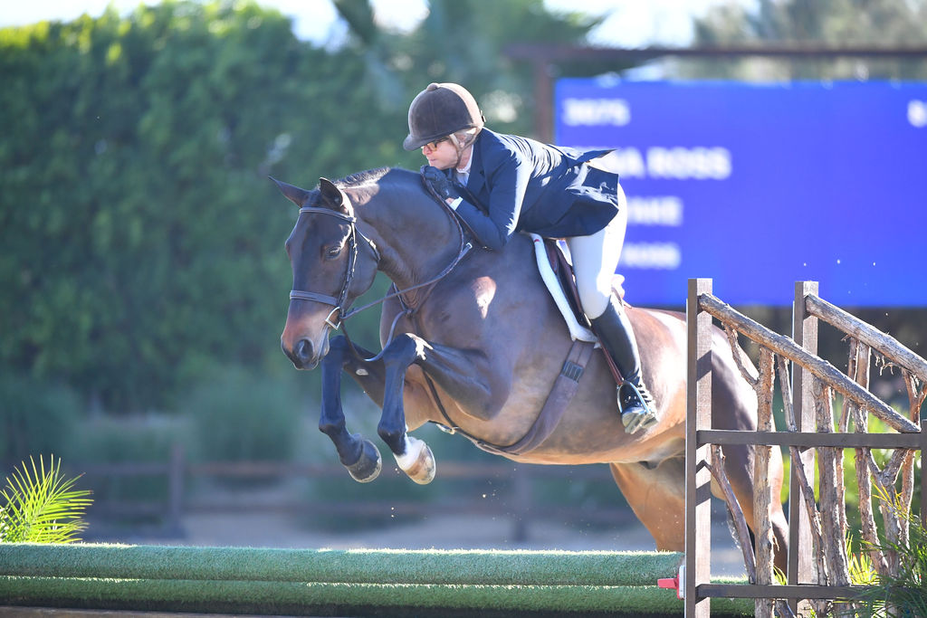Gina Ross and Partake 2025 Desert Holiday 1
