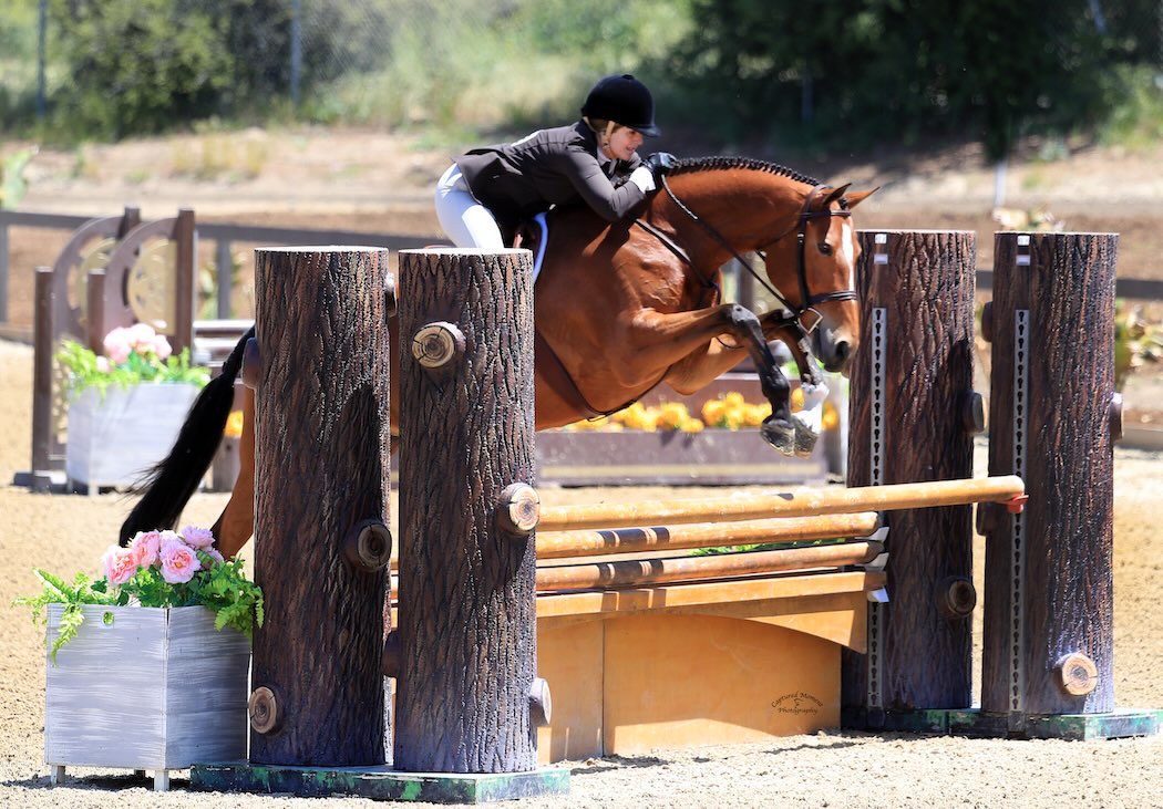 Ecole Nauber and Eclair Amateur Owner Hunter 3'3" 2024 Temecula Valley National Photo by Captured Moment Photo