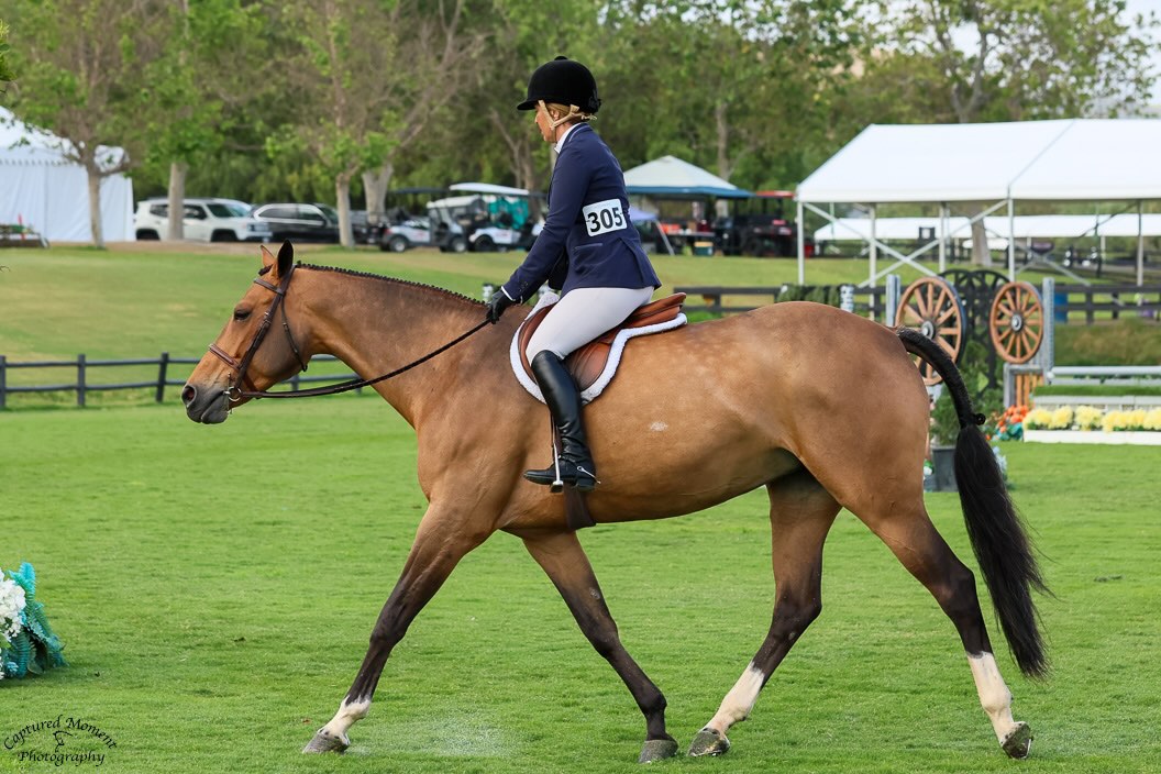 Ecole Nauber and Eclair Adult Amateur Hunter 2025 Oaks National Photo by Captured Moment