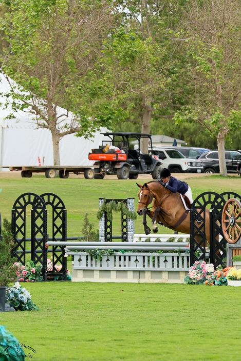 Ecole Nauber and Eclair Adult Amateur Hunter 2025 Oaks National Photo by Captured Moment
