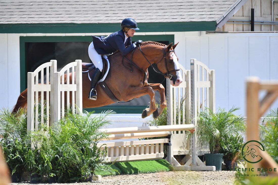 Ecole Nauber and Capoutchi Owned by Danielle Kramer Low Adult Equitation 2026 Pacific Ridge Summer