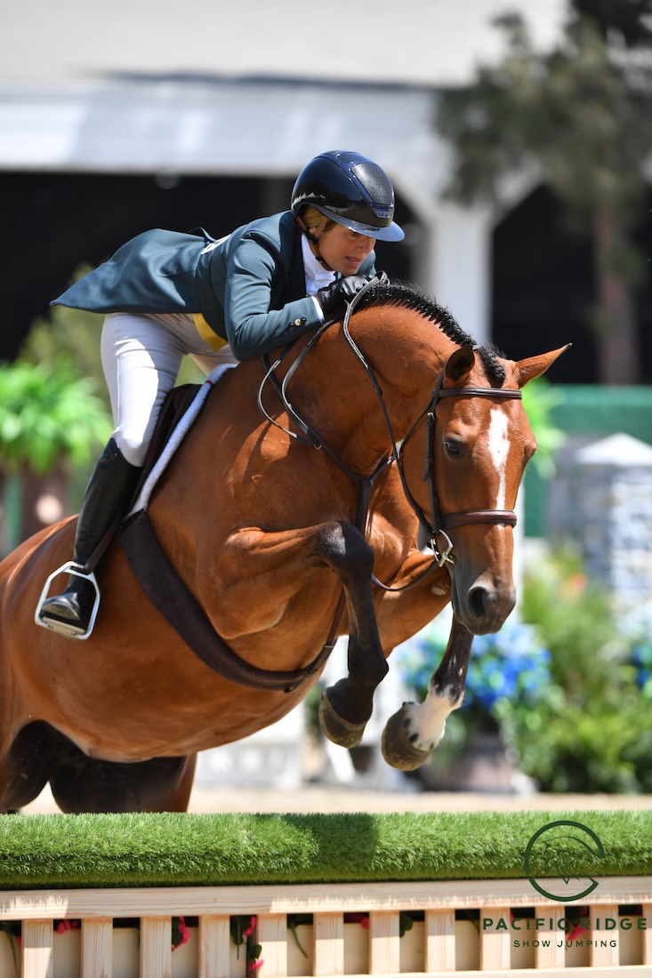 Ecole Nauber and Eclair USHJA National Jr/Am Hunter Derby 2026 Pacific Ridge Summer