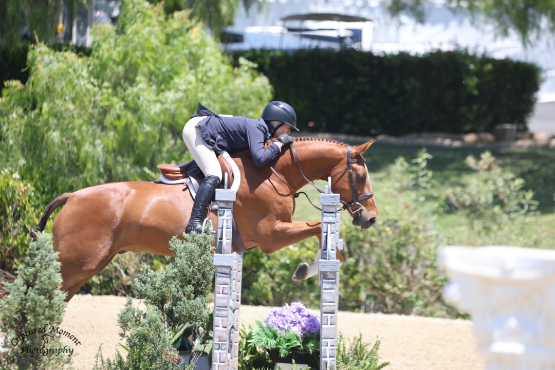 Virginia Fout and Watchman Champion 3'3" AO Hunter 36 & Over 2026 Capistrano Cup 1 Photo by Captured Moment