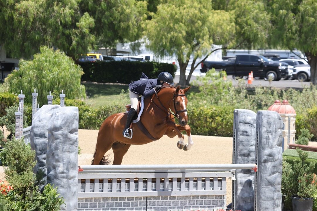 Virginia Fout and Watchman Champion 3'3" AO Hunter 36 & Over 2026 Capistrano Cup 1 Photo by Captured Moment