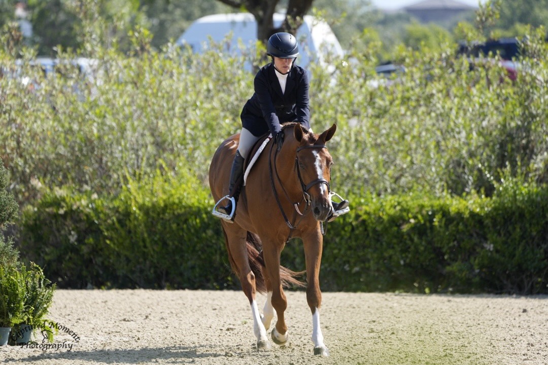 Virginia Fout and Watchman Champion 3'3" Amateur Owner Hunter 36 & Over 2026 Capistrano Cup 1 Photo by Captured Moment