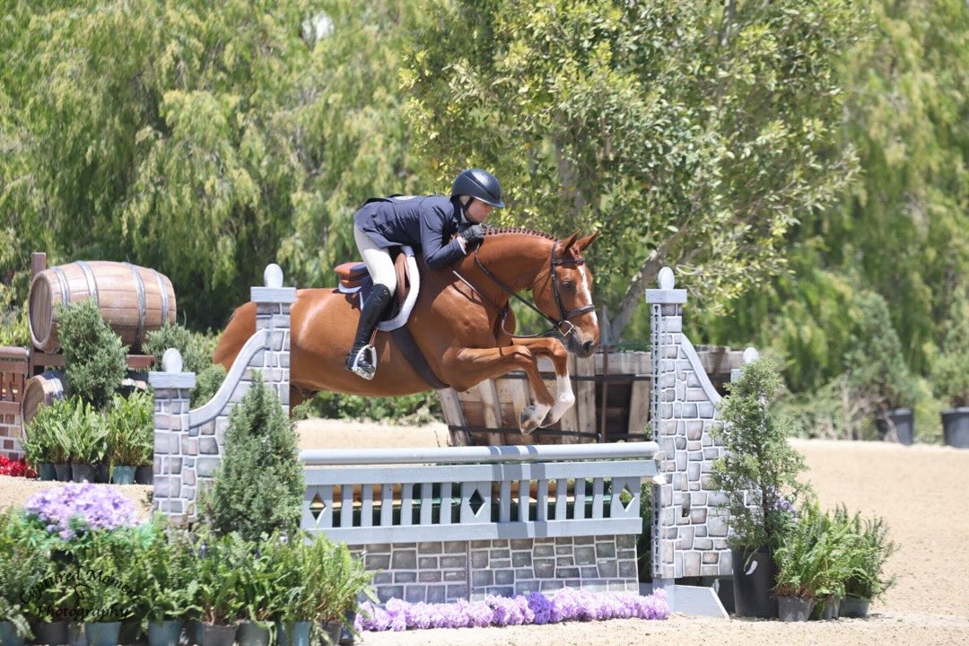 Virginia Fout and Watchman Champion 3'3" AO Hunter 36 & Over 2026 Oaks Capistrano Cup 1 Photo by Captured Moment