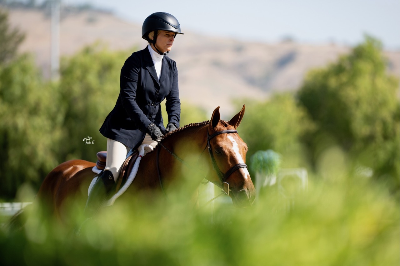 Virginia Fout and Watchman Champion 3'3" Amateur Owner Hunter 36 & Over 2026 Capistrano Cup 1 Julia B. Photography